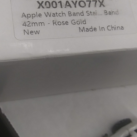 Apple Stainless Men's Watch Band